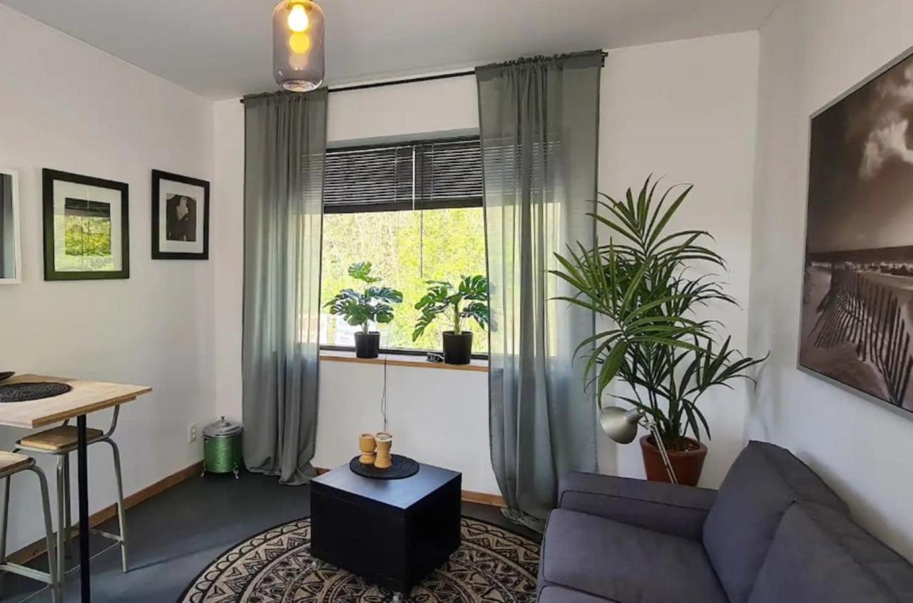 Studio Tussen De Bossen En De Bollenvelden Noordwijkerhout Eksteriør billede