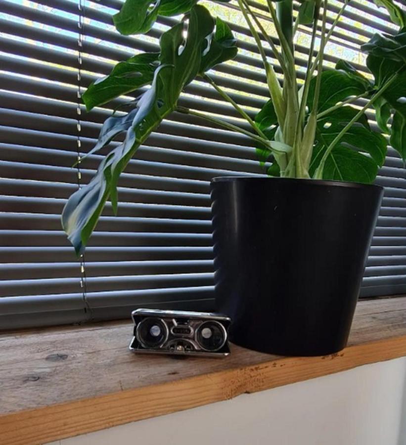 Studio Tussen De Bossen En De Bollenvelden Noordwijkerhout Eksteriør billede